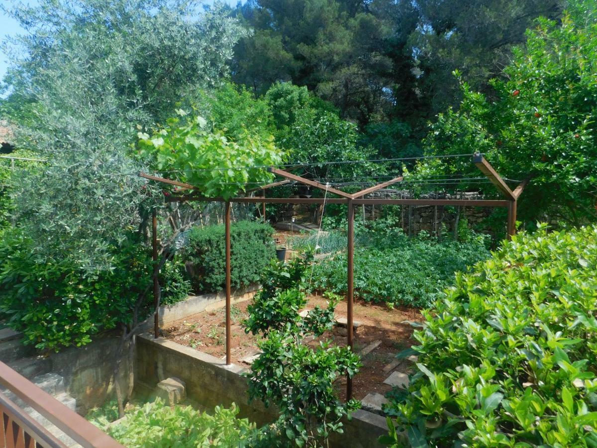 Apartment Artusi Pula Dış mekan fotoğraf