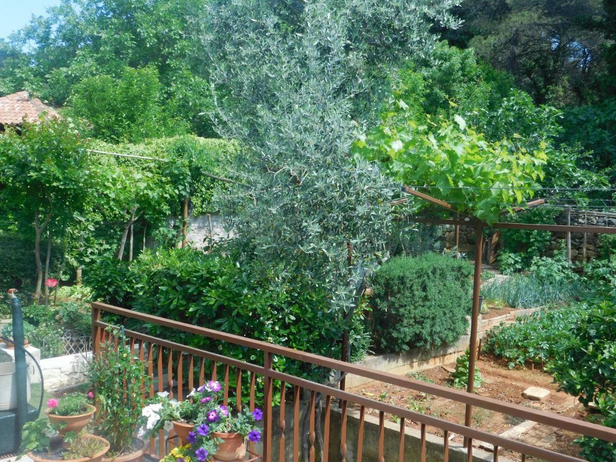Apartment Artusi Pula Dış mekan fotoğraf