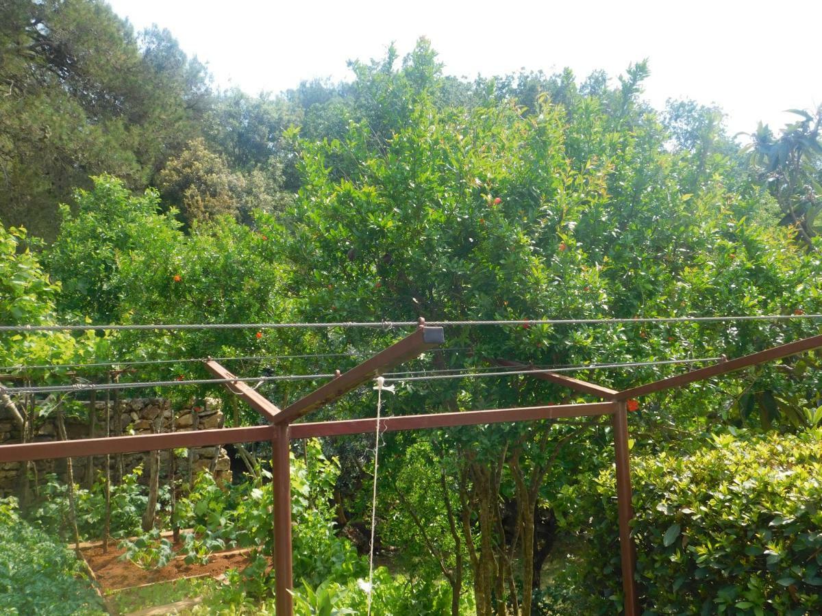Apartment Artusi Pula Dış mekan fotoğraf