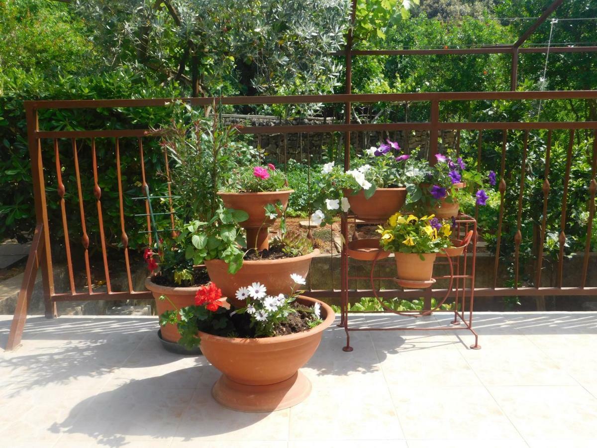 Apartment Artusi Pula Dış mekan fotoğraf