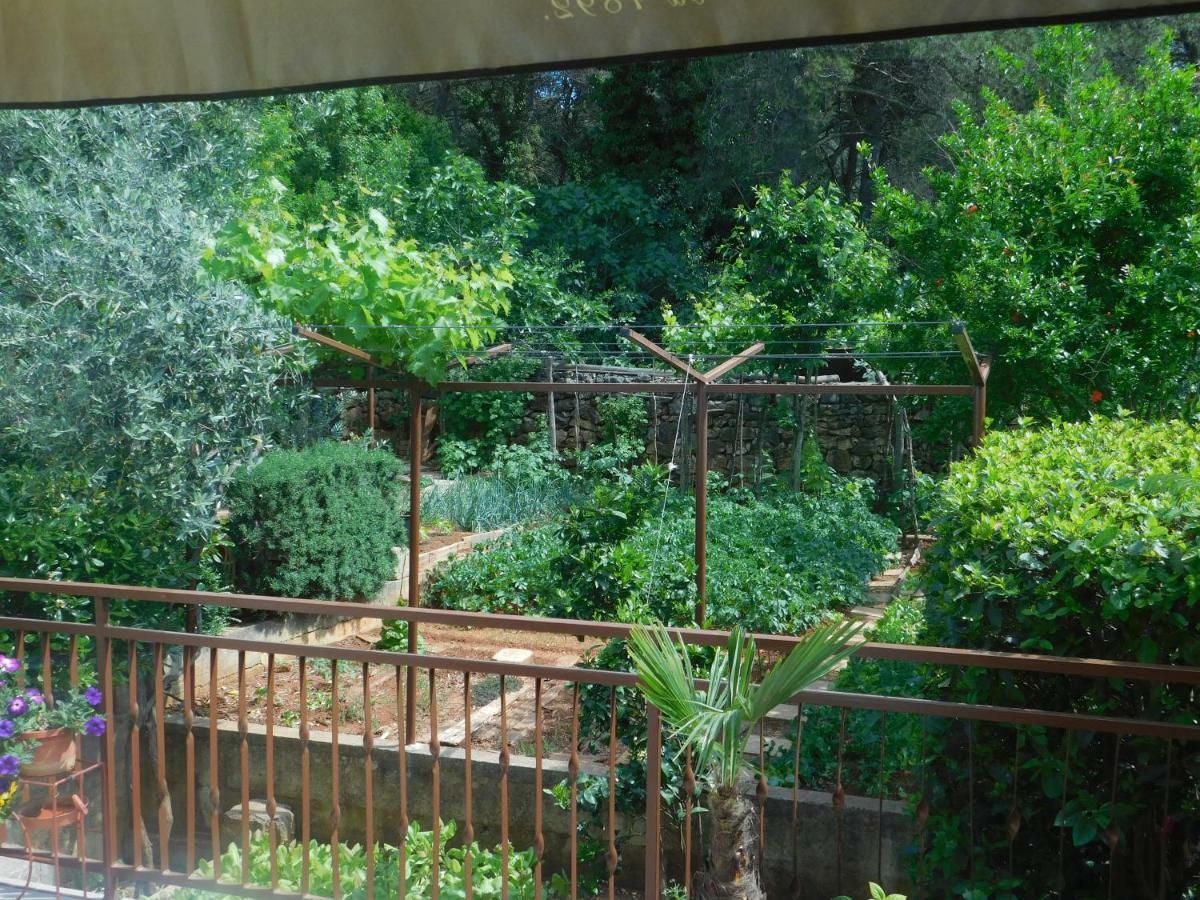 Apartment Artusi Pula Dış mekan fotoğraf